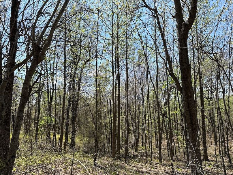 DJI_20260408_135342_605