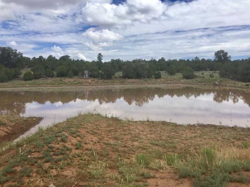 36_Pratt Carver tank