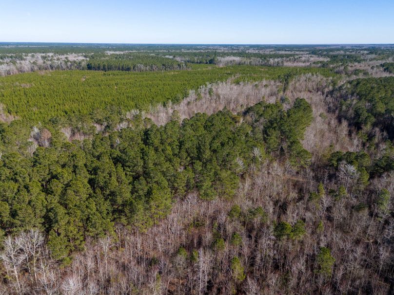 Pender NC 382 - Edits-42