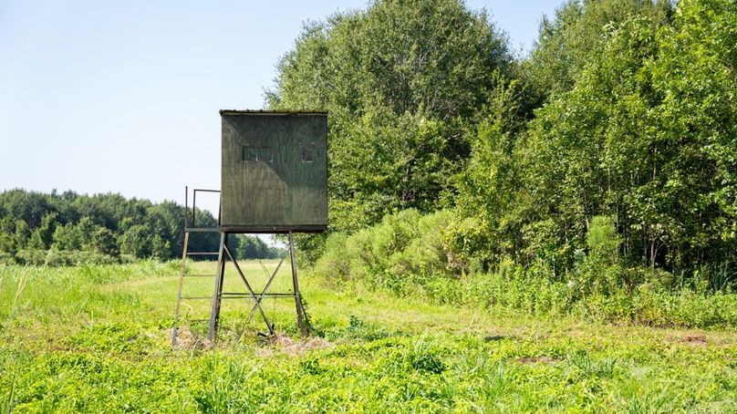 MadisonParLa1372-113