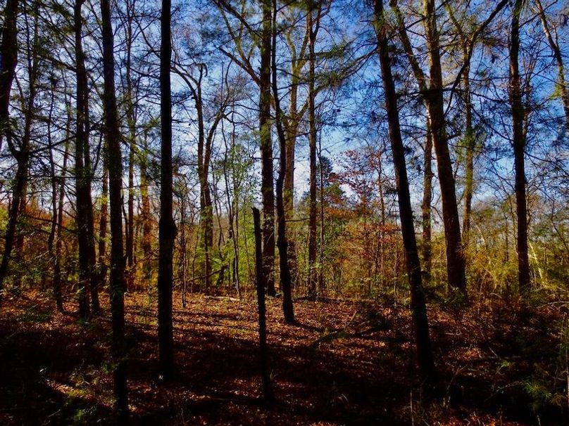 E0D54F39-D72E-45EA-8A80-2E1543C5E00E_1_105_c