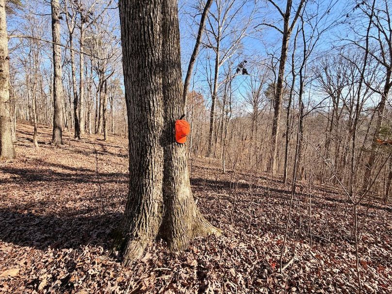 Roane Co TN 396 20251127_09