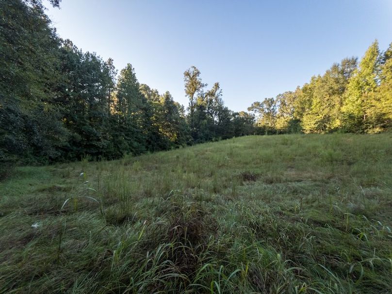 Hinds Co - 78 - Newman-44