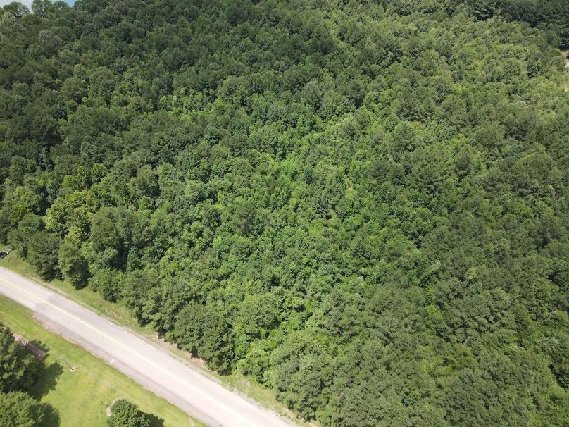 DJI_0629