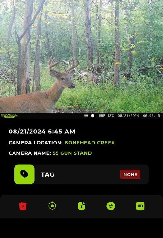 Screenshot_20240821-064856