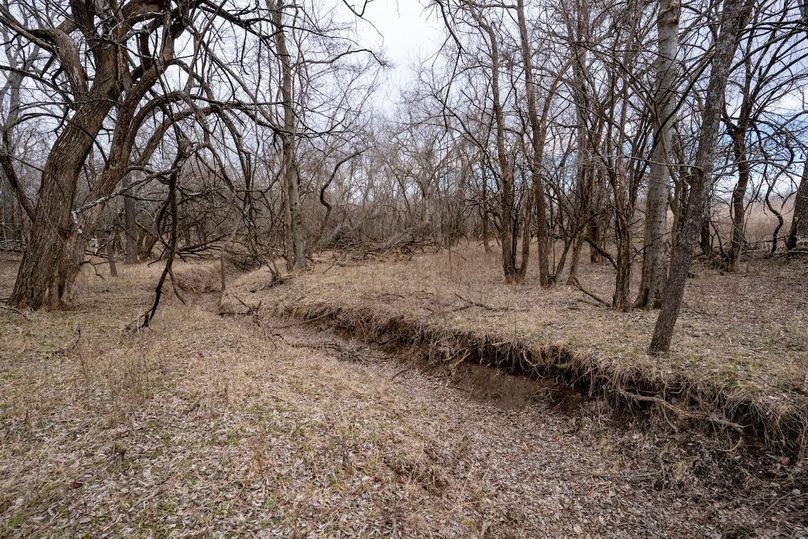 Labette258_043