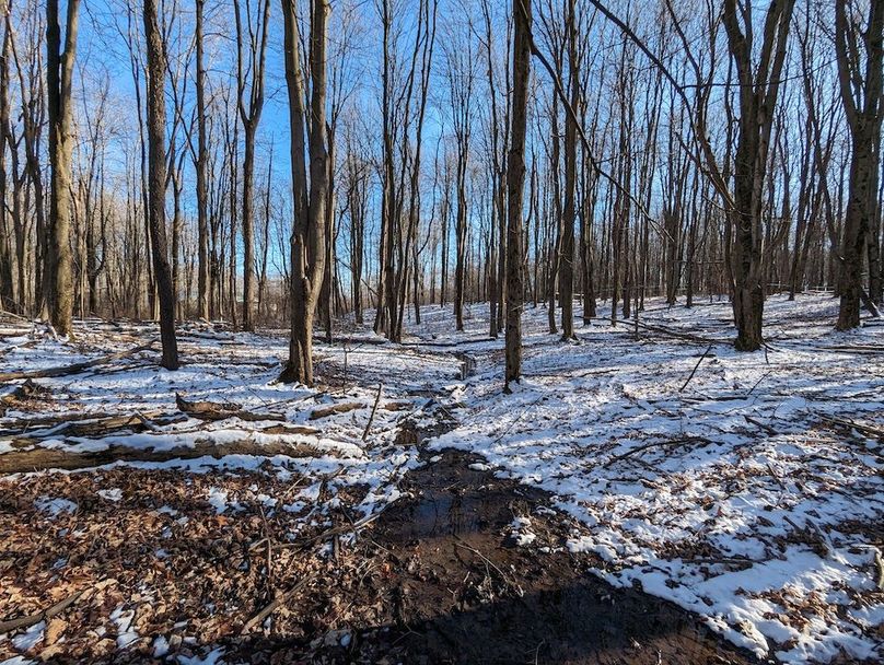 PXL_20240229_211004974