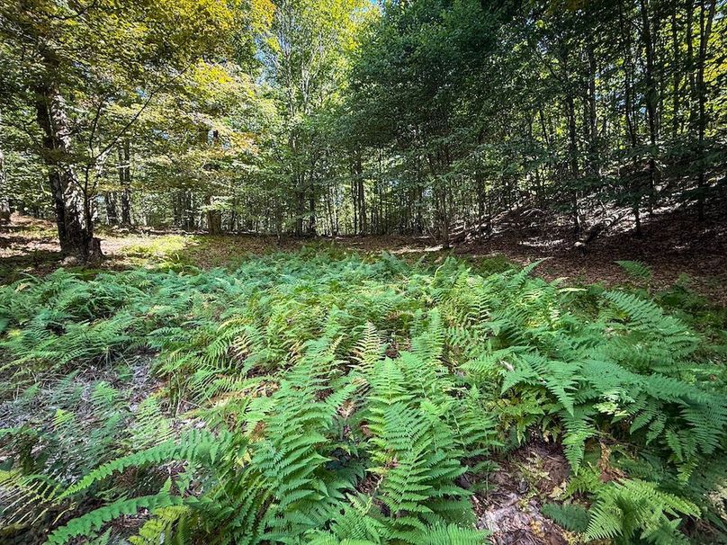 Oswego NY 18.18 Martin Photos 39