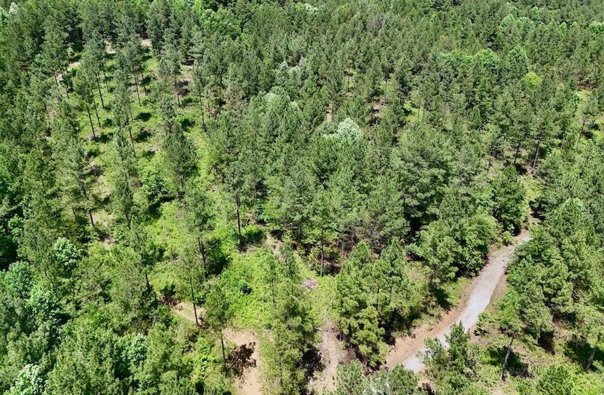 DJI_20260527141841_0004_D