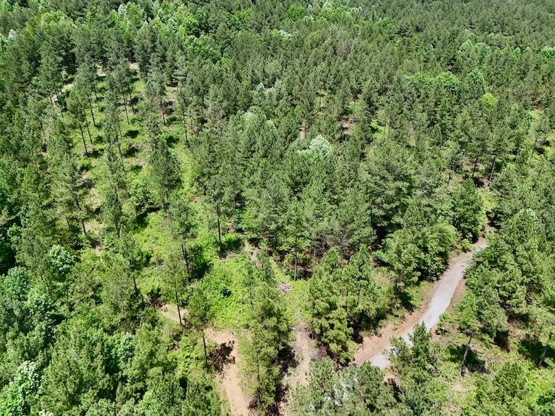 DJI_20260527141841_0004_D