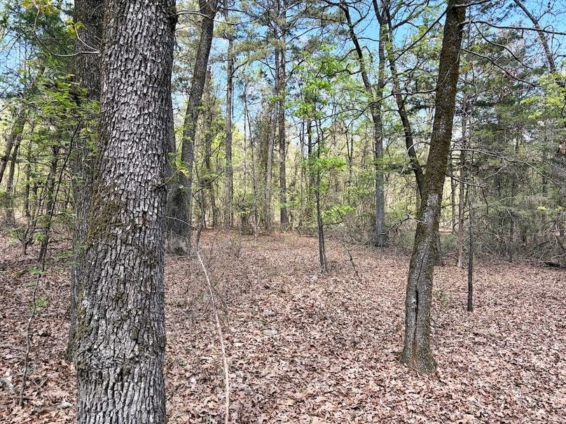 CB50CFCC-DA6D-4DE6-A394-CCC48BA553F1_1_201_a