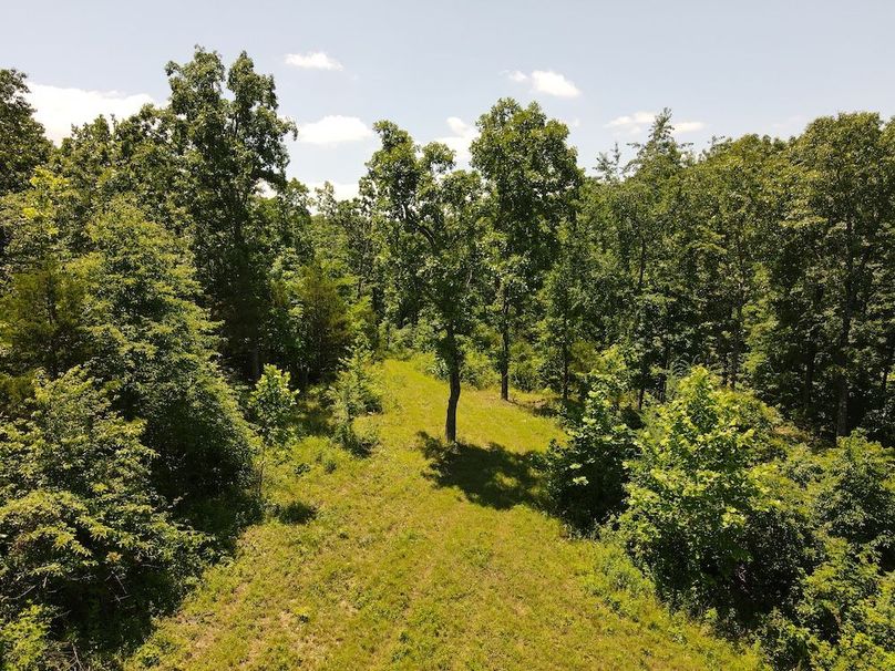 DJI_0856