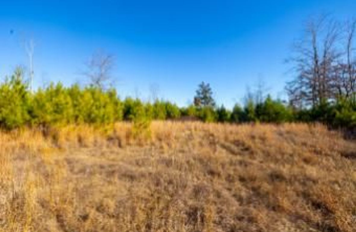 MCKINNON TRACT 19-02