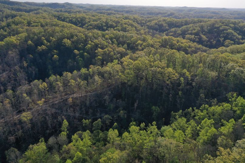 017 aerial drone shot from the southeast boundary looking north