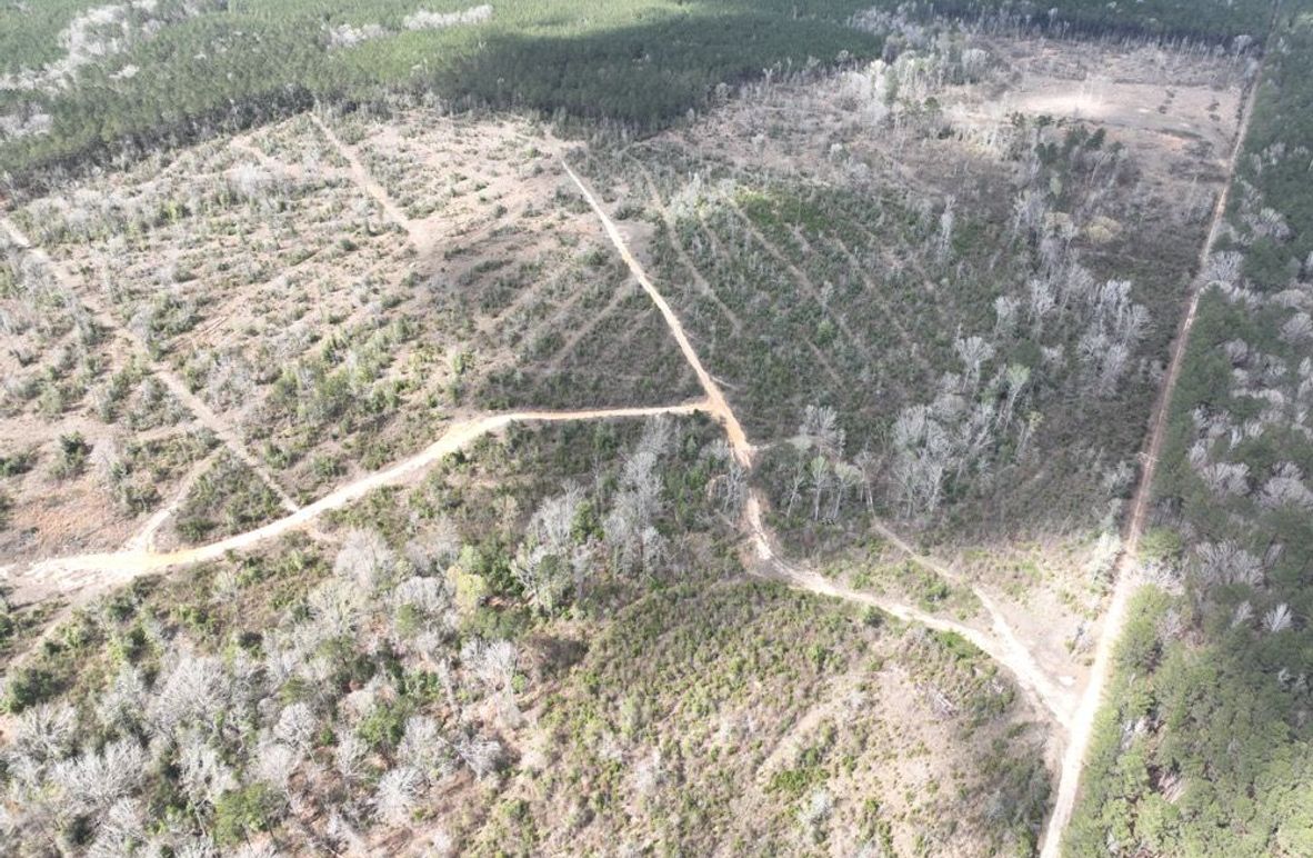 dji_fly_20260303_140042_293_1772637948173_photo