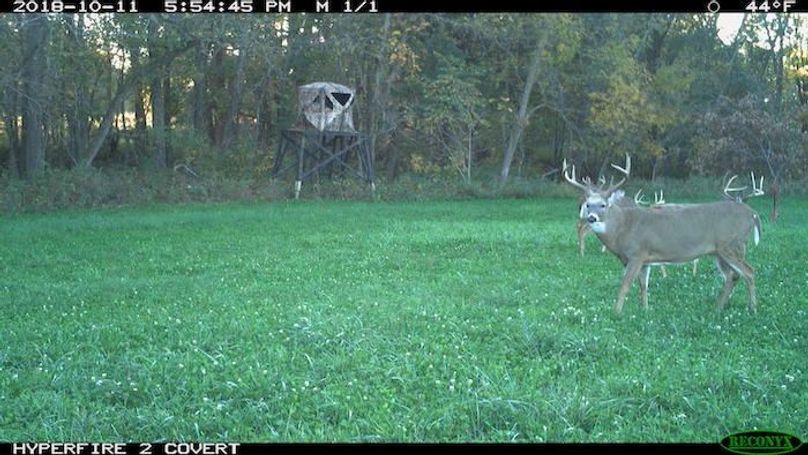 2018-10-11 17-54-45 M 1_1