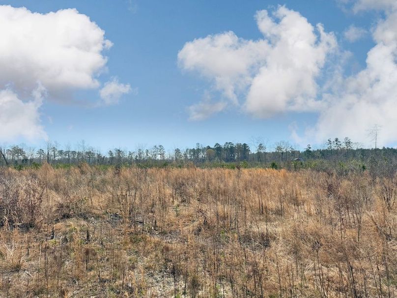 39B803E9-CC38-47CD-97F9-827067A74641