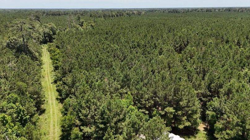 dji_fly_20250528_020230_0037_1748386790142_photo