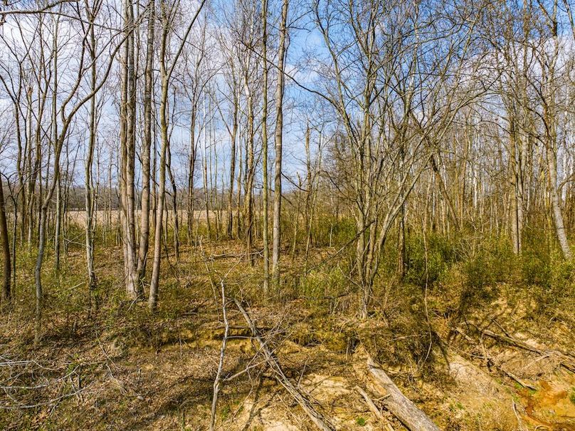 Gibson County Tract 2-10