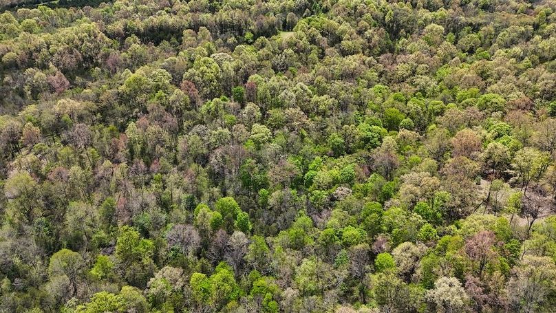 DJI_20250428132056_0483_D