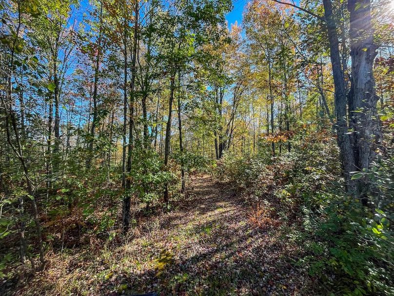 Wood 41.451, Collins -27