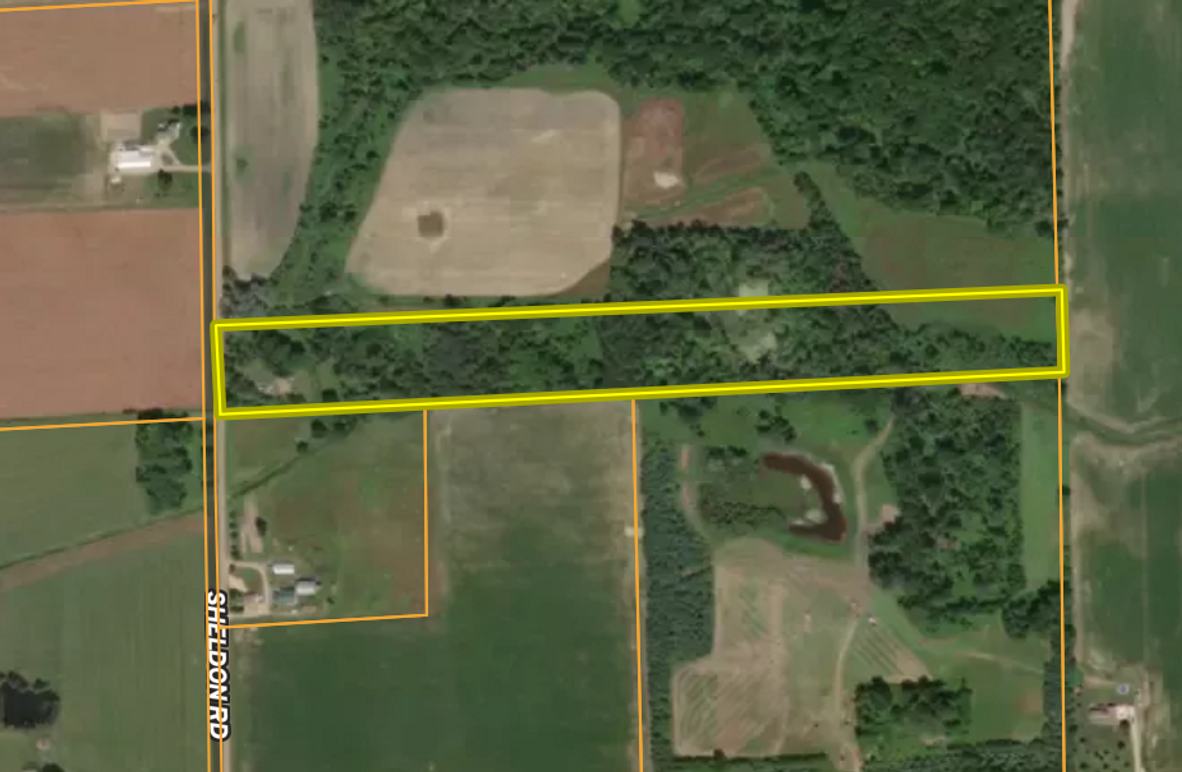 Screen Shot 2025-10-09 at 12.44.38 PM