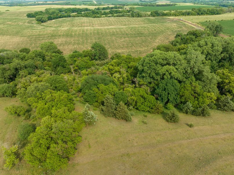 20230616-DJI_0406