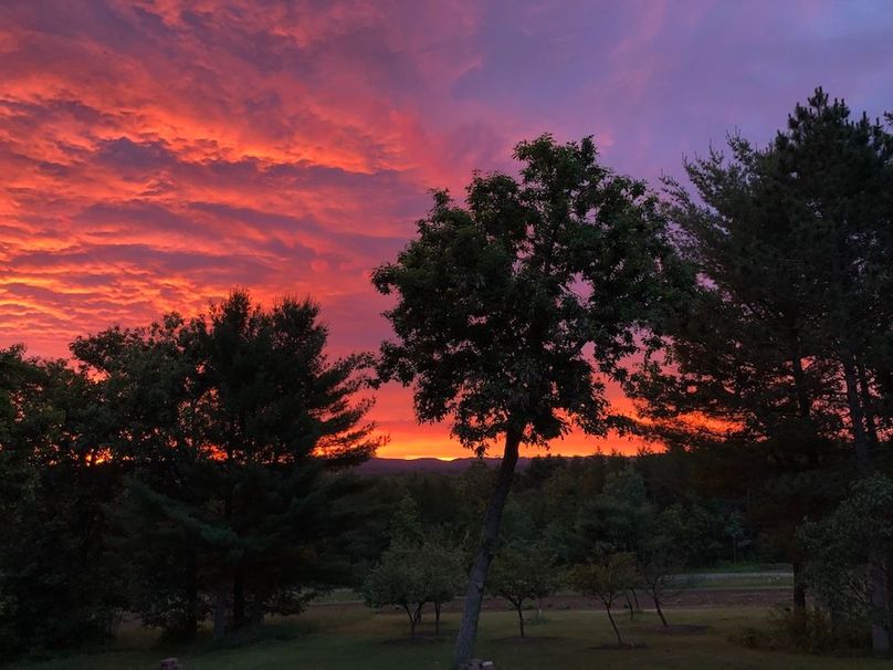 Monroe 68.2 - 41.4 of 120