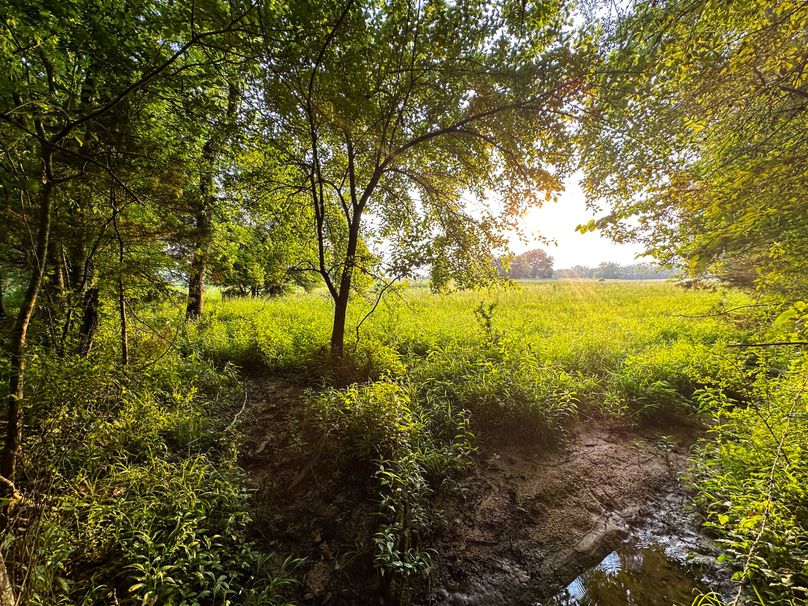 Clay County, MS 17.5+_- Jennings-05