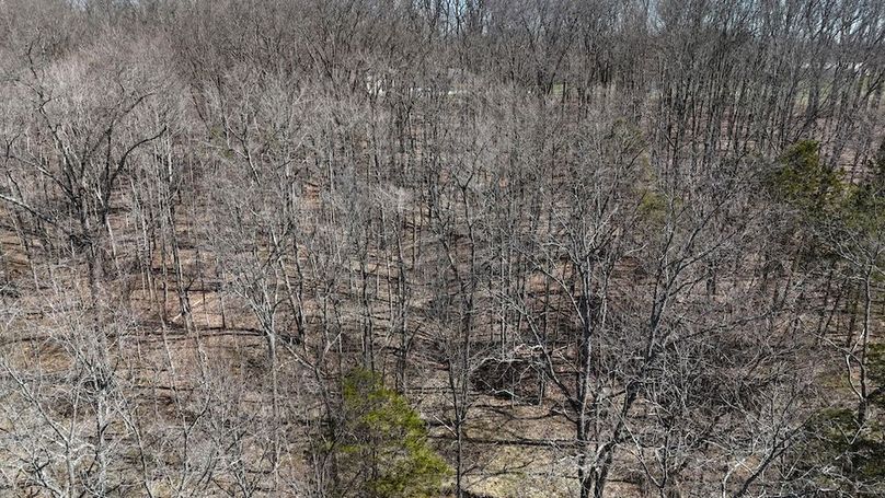 DJI_20260324123728_0140_D