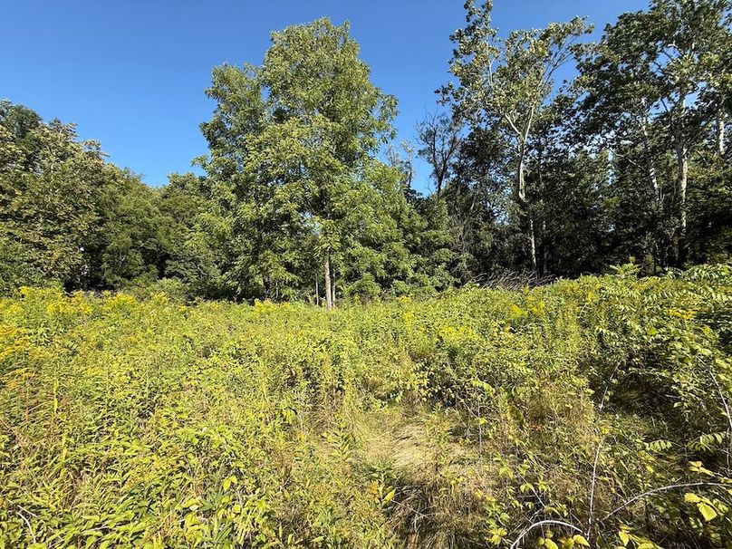 Cayuga_5.7_Cotten Photo 13