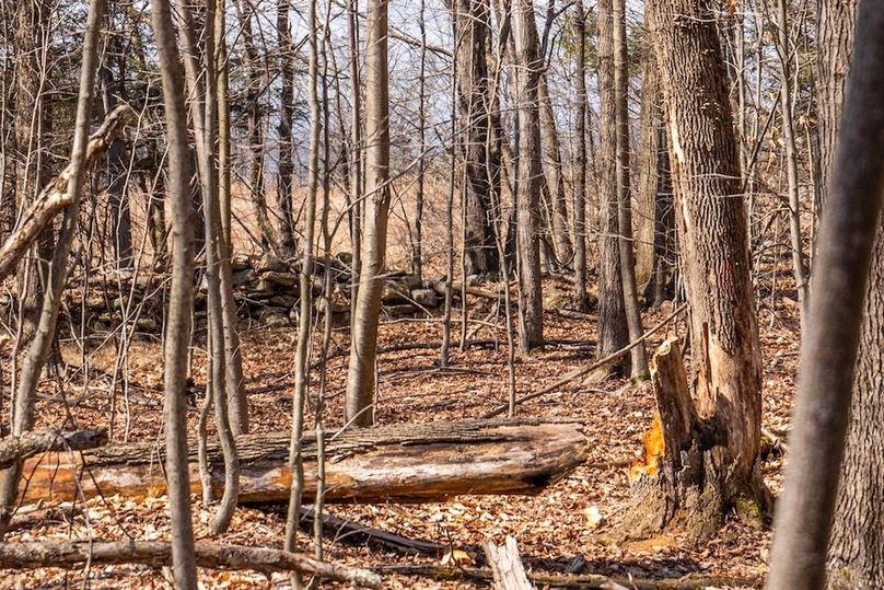 82-web-or-mls-IMG-82