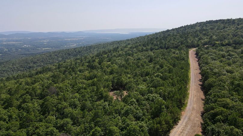 dji_fly_20230624_155440_914_1687640090462_photo