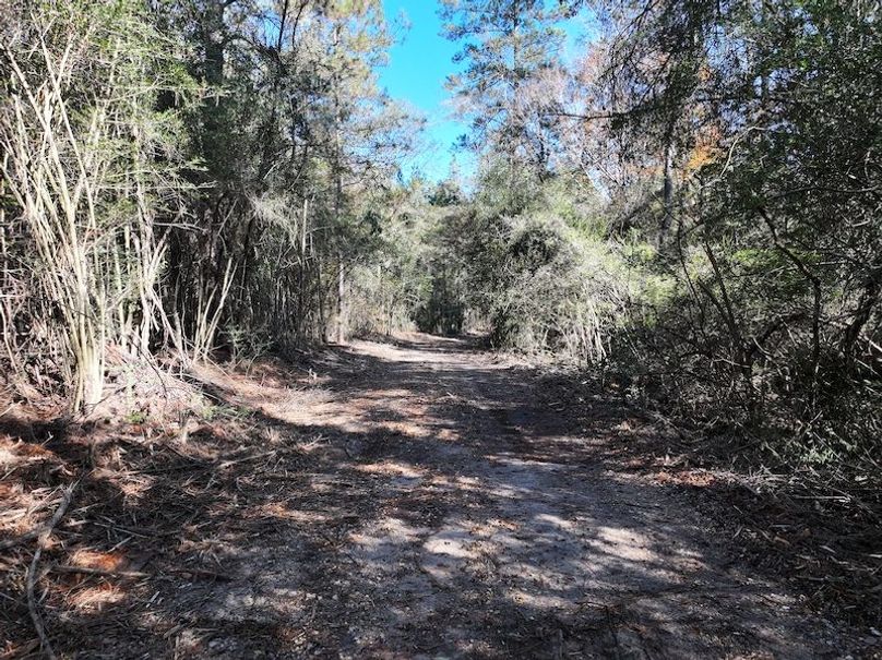 dji_fly_20251209_122322_0771_1765308496192_photo