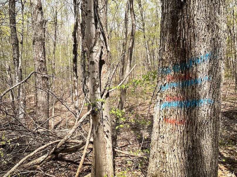 Tioga_76.65_Matyjas_Photos_31