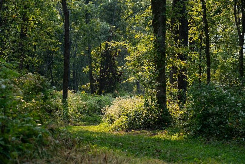 Cedar IA 152 Featured-Z82