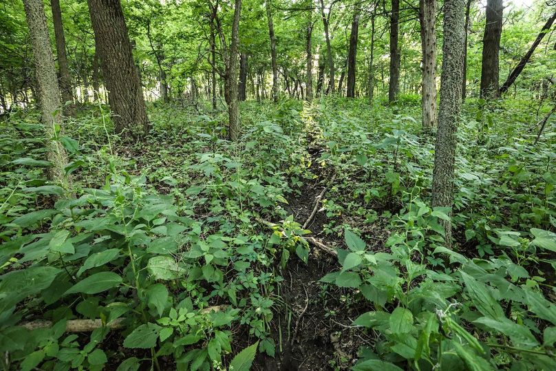 HARRISON CO. IA 24.85_72