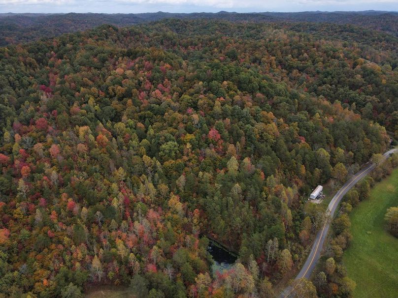 032 more nice views of the timber on the North side of the road