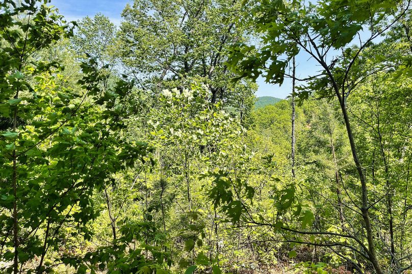 26 Mountain Views 07