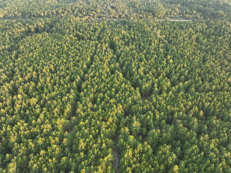 dji_fly_20230925_074432_743_1695642642131_photo