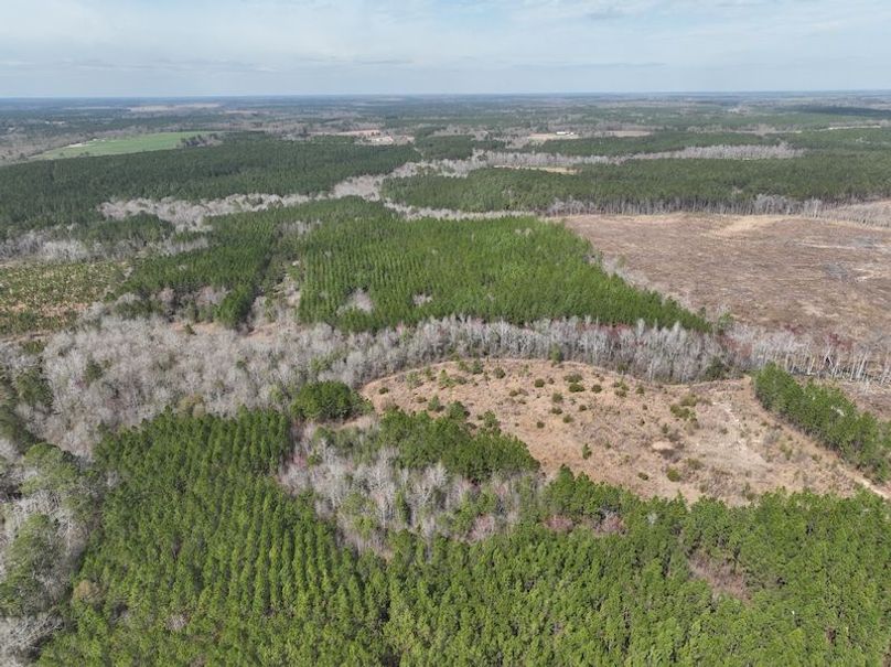 dji_fly_20240227_124654_134_1709056308307_photo