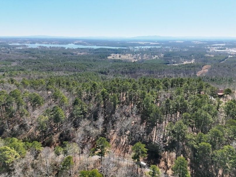 DJI_20260212111208_0006_V