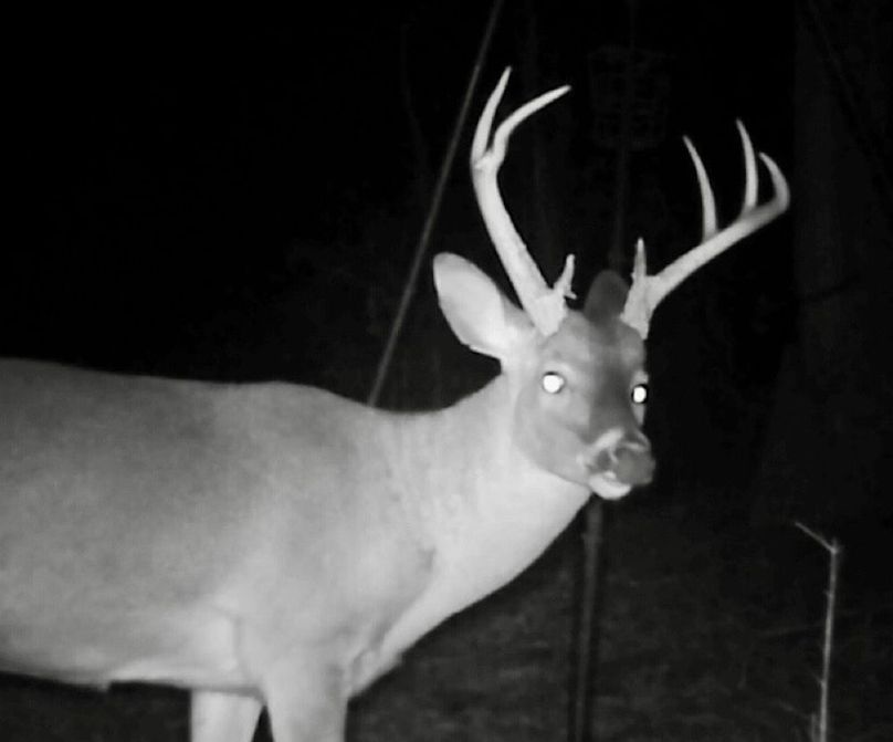 Screenshot_2019-12-29-22-49-28-2