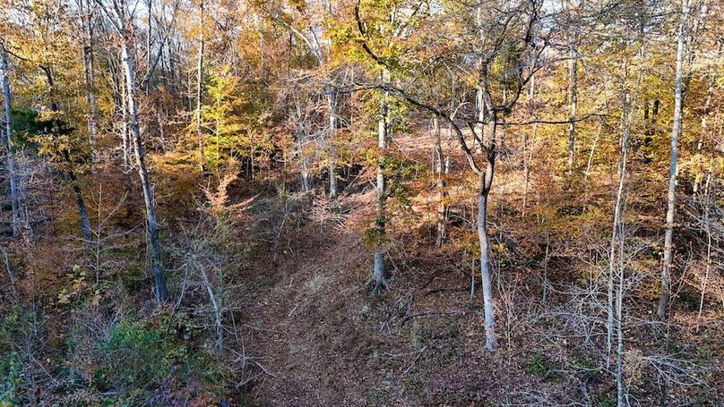 DJI_20251111155332_0065_D