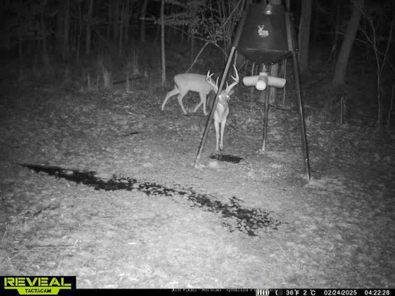 Holmes County - 108 - Rodriguez-88