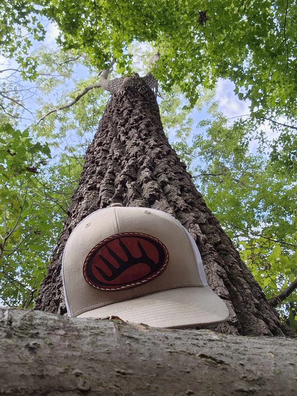 376576336_839001291122181_9045889715822492726_n