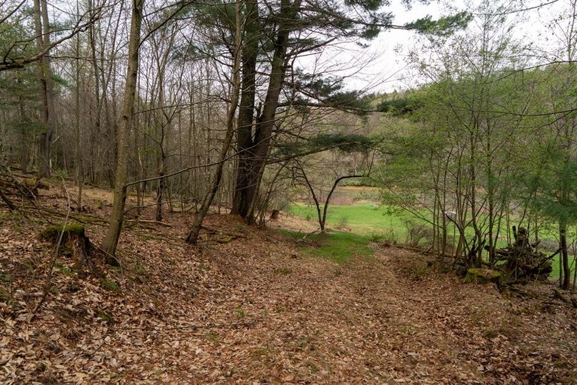 Clarion River-78