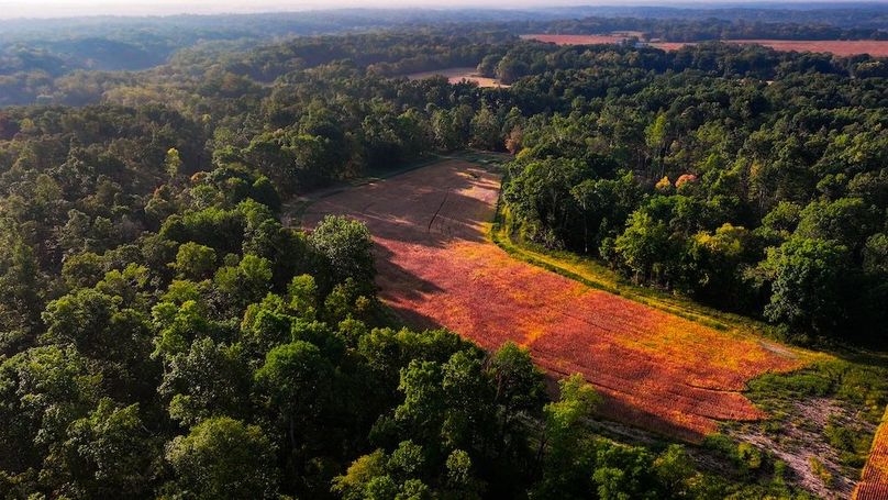 dji_fly_20250917_084856_0514_1758113881882_photo