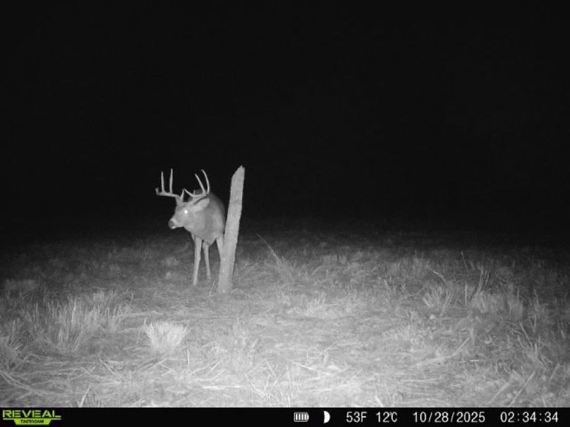 Copy of 860322062100349-100-4-10282025023434-V-W1002998