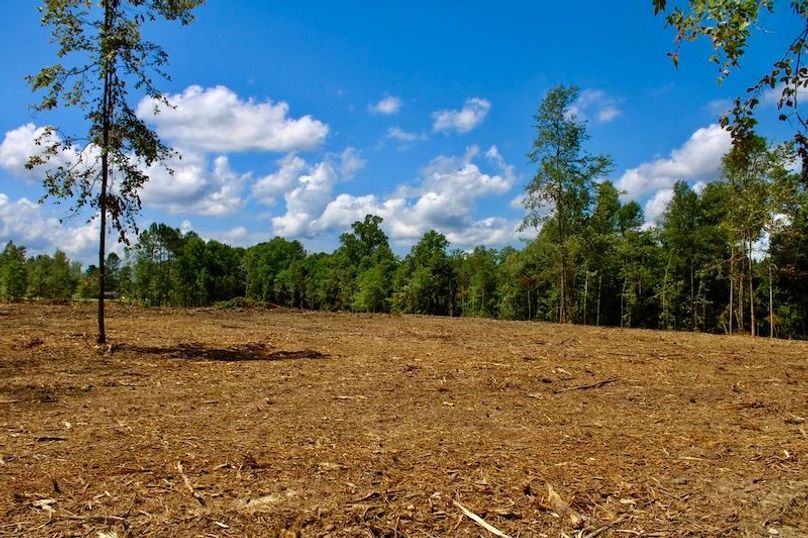 610B447D-6D02-498A-8F8F-AB3C9BBC6CEE_1_105_c